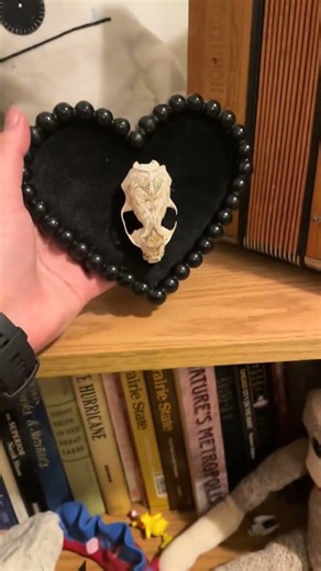 A Frame for a Skull #diy