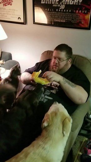 The Original video that started it all. Nov 8 2017. Our new kitten Negan (originally Kong) loved human food so we decided to shoot a video to show our friends just how psycho he was. Little did we know that overnight it would get viewed and shared tens of thousands of times and go on to millions of views.