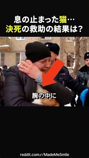 [My Beloved Cat Caught in a Fire🥺] Please, help him... A Miraculous Moment #emotional #touchingvi...