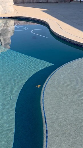 5.4K views · 84 reactions | The last 7 minutes | Retail Regulators | Facebook