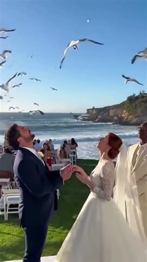 Observe how a seemingly ordinary moment progresses to uncover a surprisingly tender connection