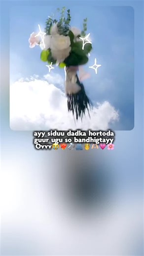 Exploring the World of C-Dramas