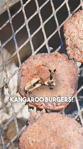 212K views · 3.5K reactions | Thinking back to when we tried Kangaroo for the first time!  #reelsfb #reels #video #kangaroo #viral #trending #burgers #cooking #meat #knives #thebeardedbutchers #youtube #butcher | The Bearded Butchers | Facebook