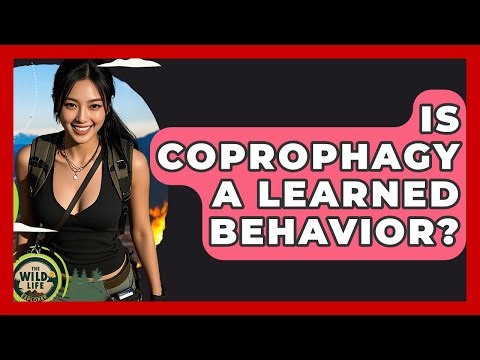 Is Coprophagy A Learned Behavior? - The Wild Life Explorer