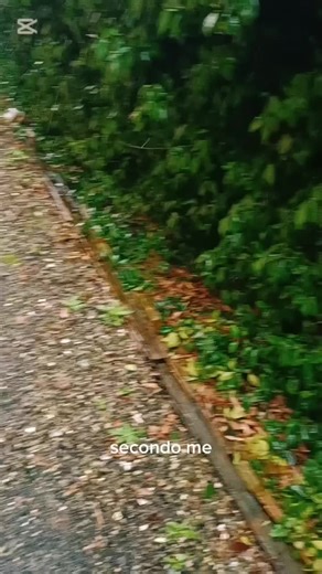 Buongiorno amici di passione ❣️