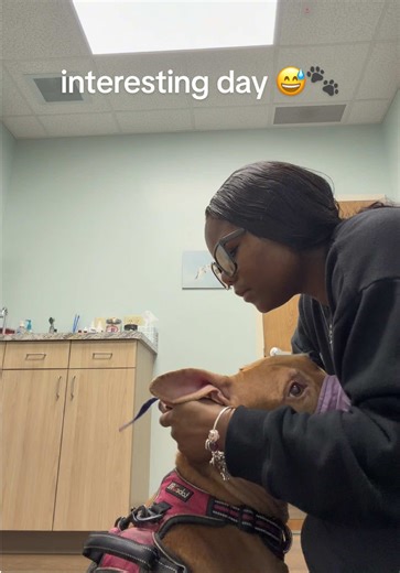 Annual Vet Visit: Dog Mom Adventures