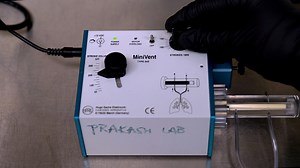 A Mouse Model of Orotracheal Intubation and Ventilated Lung Ischemia Reperfusion Surgery