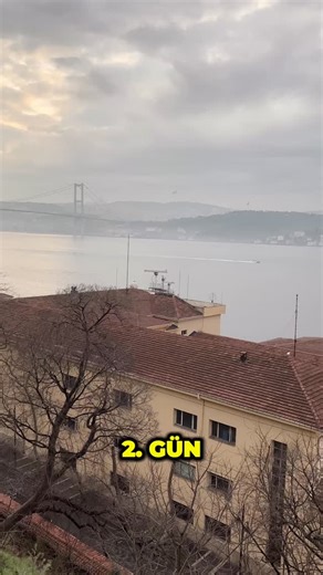 E. Aksu on Instagram: "30 Günlük Shopify Challenge – 2. Gün 🚀 Test reklamlarını açtık… Ve sonuçlar beklediğimizden bile iyi başladı! Hiç takipçisi olmayan, tamamen sıfır bir markayla: 👉 Sadece Meta reklamlarıyla 👉 15.500 TL ciroya ulaştık Toplam harcama: 3.952 TL Satış: 22 ürün – 16 sipariş (6 müşteri aynı anda 2 ürün aldı 💪) Şimdilik ürünleri Trendyol satıcısından tedarik ediyoruz. Adet maliyet: 100 TL Günün muhasebesi: Ciro: 15.500 TL Reklam: -3.952 TL Kargo: -1.600 TL Ürün maliyeti: -2.20