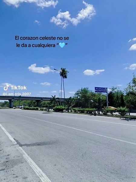 Significado del Corazón Celeste en la Amistad