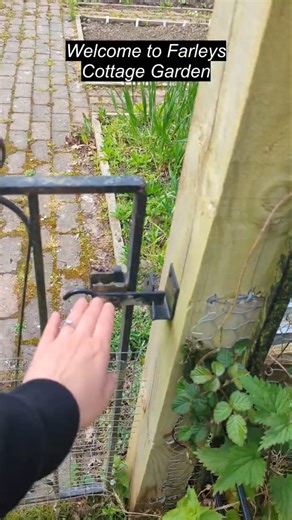 Join me for an early spring tour of my cottage garden veg patch!