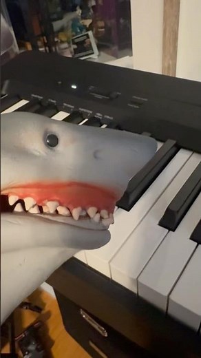 Shark Puppet Plays Piano Beautifully