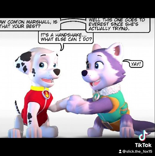 Marshall x Everest || Paw Patrol Edit