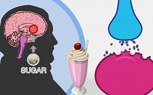 【加州大学】肥胖的真相 - 4.糖——甜蜜的瘾 (The Skinny on Obesity)