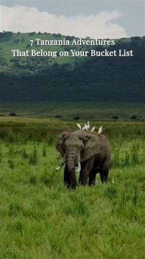 7 Best Things to Do in Tanzania | Tanzania Safari, Serengeti, Kilimanjaro & Zanzibar | Trvlscout