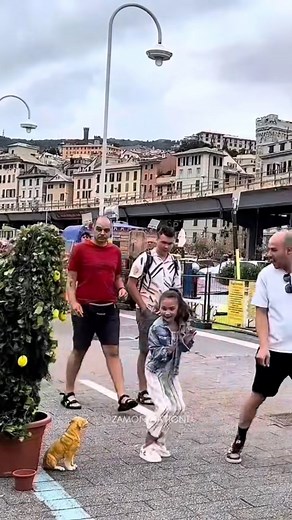 No touching me 😂 #bushmanprank #funnyvideos #prank #funny #viralvideo #humour | Zamonination1