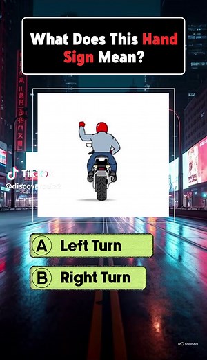 Understanding Road Sign Hand Signals