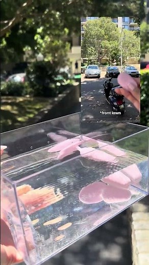 Betty’s Remote Control: How Far Can We Get Naughty? 😏