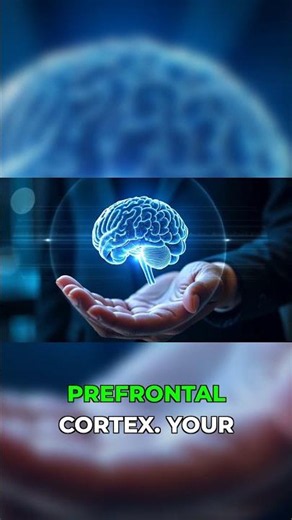 The Brain Chemistry of Curious Minds #neuroscience #learning