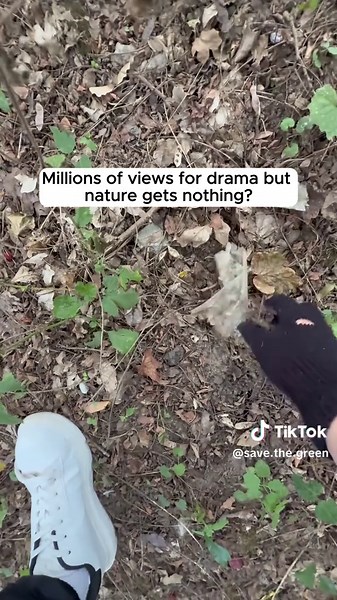 Eco-Friendly Cleaning Tips for a Greener Future