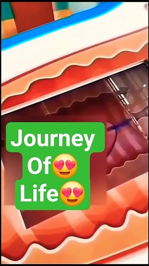 “Journey of Life ✨ | How New Life Begins | Educational #shorts #trending2025”