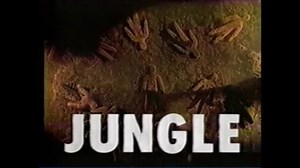 JUNGLE 人形編 30秒ver
