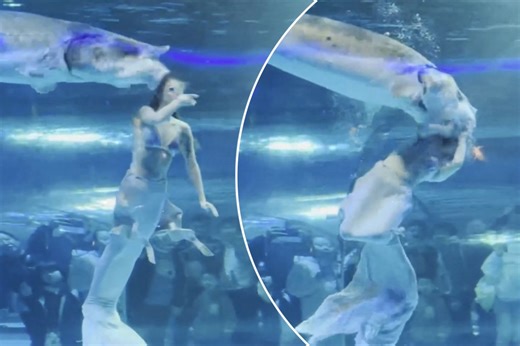Giant fish attacks mermaid in aquarium as shocked spectators watch