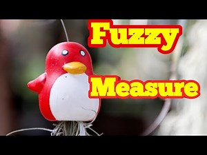 fuzzy-measure