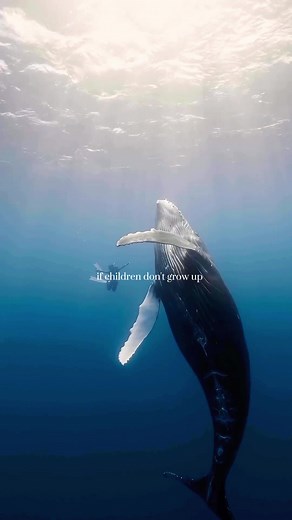 Nature Conservation and Education for Future Generations