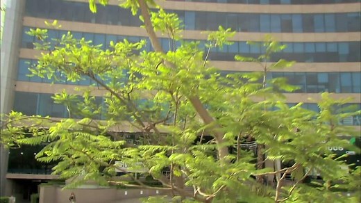 Sortilegio - Capítulo 20