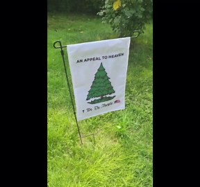 An Appeal To Heaven Flag Garden Flag 12x18 Inch Vertical Double Sided For Outside We The People American War Revolution Liberty Pine Tree Flag House Decor Banner Patriotic Historic Yard Flags