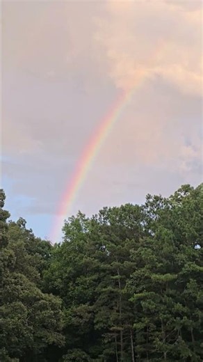 Reflection, refraction, and dispersion of light