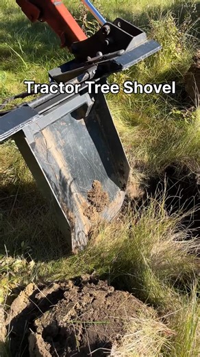 Matt & Monica on Instagram: "One of the simplest implements I have, this tree shovel attachment is as handy as can be for transplanting large trees! #livingouramericandream #tractor #kubota #treeshovel #movingtrees"