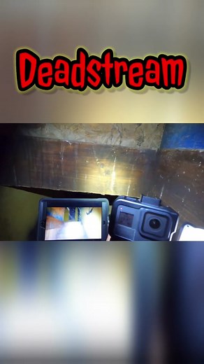 Deadstream #loucancelthatfool #phantomclips #movieclips #fyp #trend #horror #comdey #deadstream #movie #trending #shudder