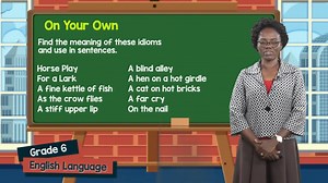 20 reactions | WATCH | Grade 6 English Language - Idioms with Miss Melinda Hughes | Guyana Learning Channel | Facebook