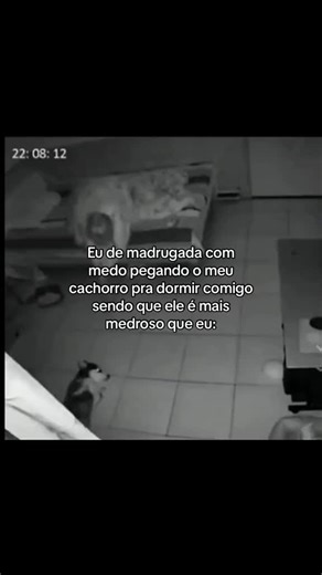 Os vídeos de Laís (@filhada_anaf) com NÃO PRECISA TER MEDO - DJ Elisa