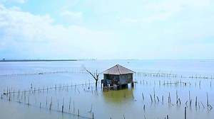 Der Anstieg der Meere