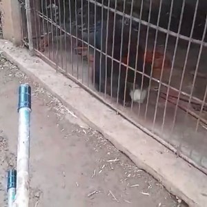 30K views · 1.5K reactions | BREAKING NEWS, LAOS: We've learnt of a...