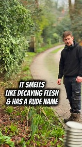 It’s smelly & rude #garden #gardening #gardener #plant | Jude Lamph