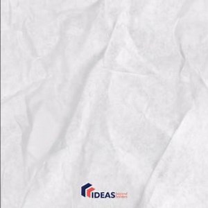 Our Voice of Science team has leveled up massively in 2023! Their work disseminating scientific ideals and information into the Middle East is unparalleled. They're only getting started too. We are growing the program to meet demand and get good ideas where they're needed most. | Ideas Beyond Borders | Facebook