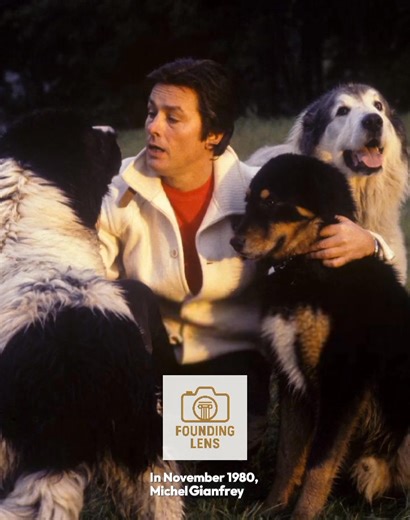 Alain Delon and His Dogs: The 1980 Portrait That Defined French Elegance #fblifestyle | Founding Lens