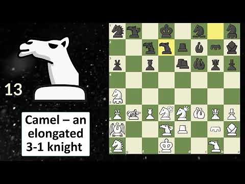 All Fairy Chess Pieces in one Game | 23 Fairy Chess Pieces | Fairy Chess pieces moves
