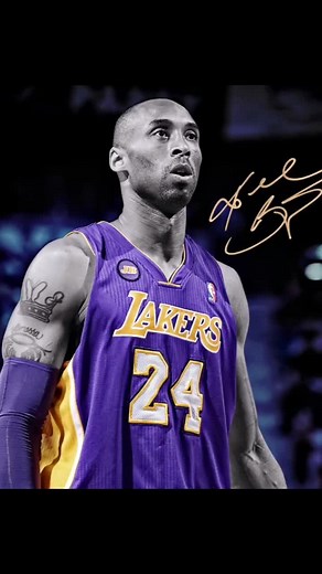 Black Mamba Live Wallpaper - Kobe Bryant Tribute
