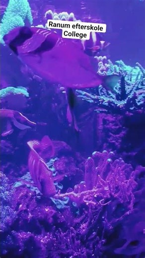 Cora lab, Ranum Efterskole College #marinescience #ranumefterskole