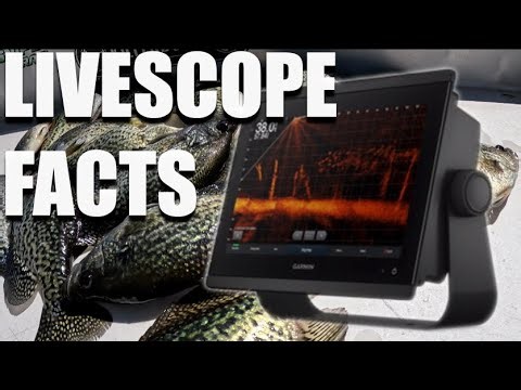 All about Live Scope (and my Settings 2025)