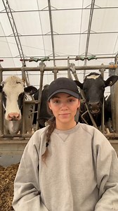 Did you know? Whether it’s the blue, the black, or the old Blue Cow Quality Milk logo - it always certifies the use of 100% Canadian milk 🐄🇨🇦 No matter the look, you can trust the quality behind it. #BlueCow #CanadianMilk #DairyFarmersOfCanada #EnjoyDairy | Dairy Farmers of Nova Scotia