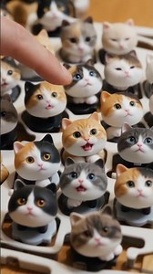 Cat keyboard?! #cat #kitten #entertaininganimals #fun