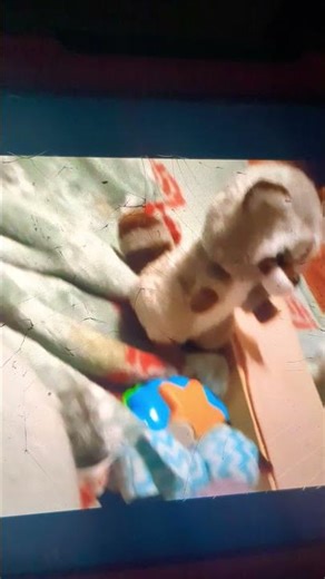beanie boo hospital 8 new trailer‪@Talkingtom2010lovey‬