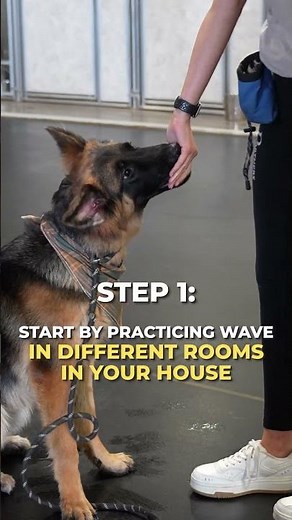 Keep Your Dog's Wave Trick Sharp With Easy Pro Tips! #shorts #dogshorts #dogtraining #dogtricks