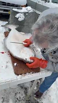 Heather Douville’s dad Mike shows how bleeding fish leads to a cleaner, better catch.