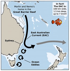 East Australian Current - Alchetron, the free social encyclopedia